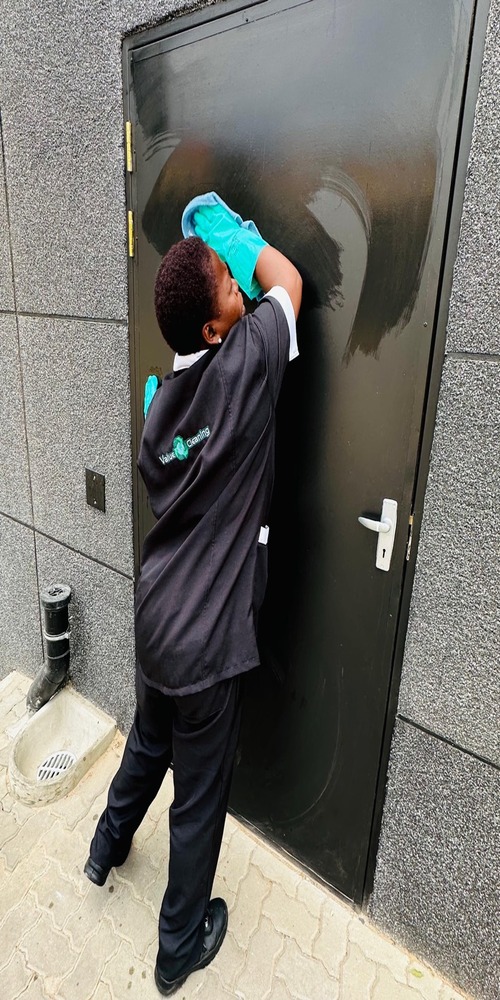 Professional cleaning service